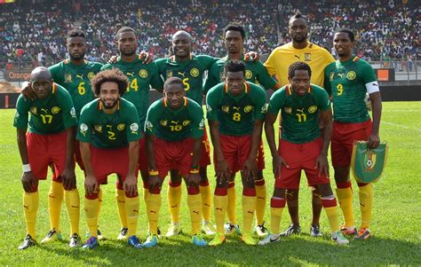 cameroon 2014 world cup